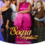 A Sogra Perfeita 2