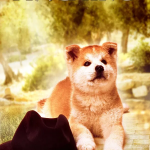 A História de Hachiko