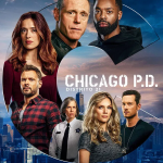 Chicago P.D.: Distrito 21 — 13.ª Temporada