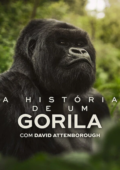 A História de Um Gorila com David Attenborough