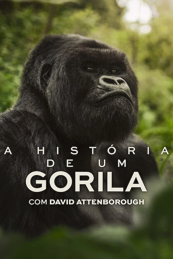 A História de Um Gorila com David Attenborough