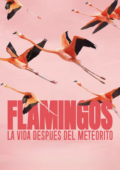Flamingos: A Vida Depois do Meteorito