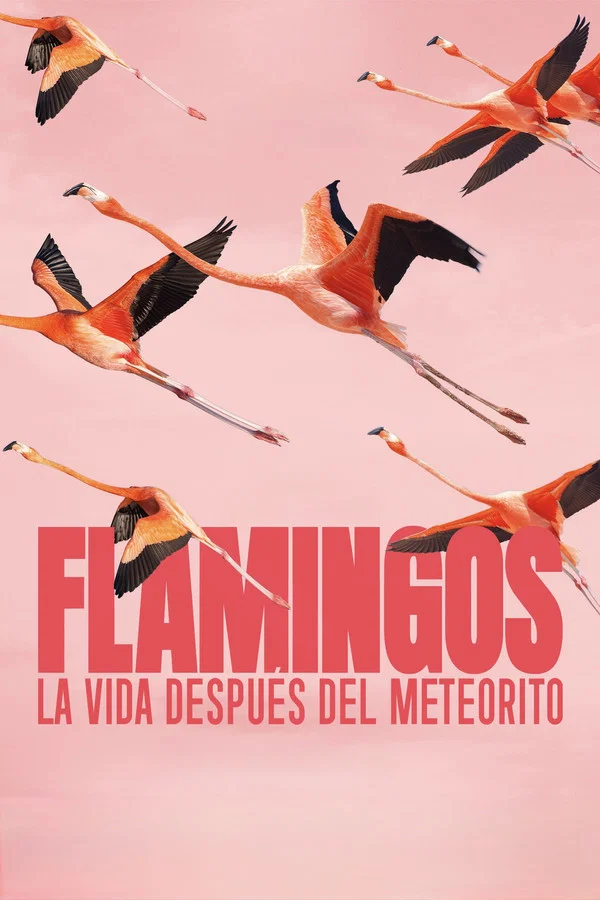 Flamingos: A Vida Depois do Meteorito