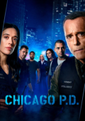 Chicago P.D.: Distrito 21 – 14ª Temporada