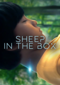 Sheep in the Box