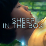 Sheep in the Box