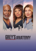 Grey’s Anatomy – 23ª Temporada