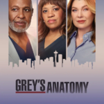 Grey’s Anatomy – 23ª Temporada